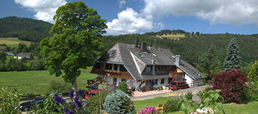 Projects for DEHOGA in Germany - Eckardt Consulting