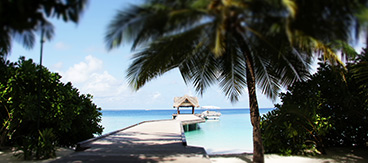 Projects in the Maledives - Eckardt Consulting