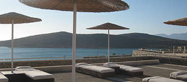Projects for TUI - Eckardt Consulting